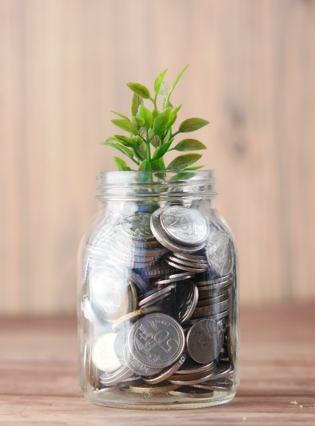 Plant growing out of a glass jar full of coins